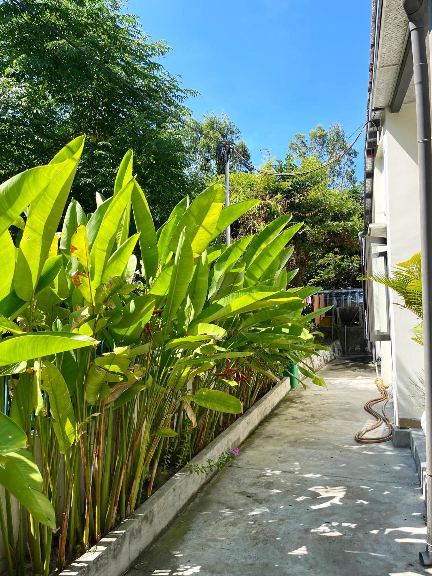 Crest House Beachside - Three-bedroom Private House On Cham Island Hoi An Holiday home